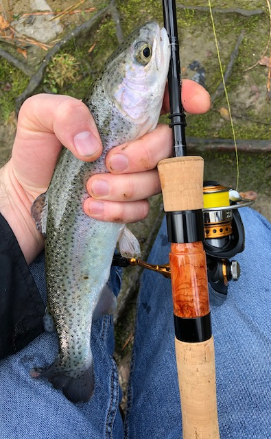 Angler holding rainbow trout and Daiwa Wise Stream spinning rod.