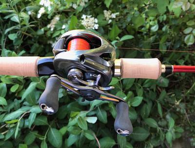 BUYER'S GUIDE: BFS (Bait Finesse System) Rods, Reels, And Lures For Bait  Finesse Fishing! 