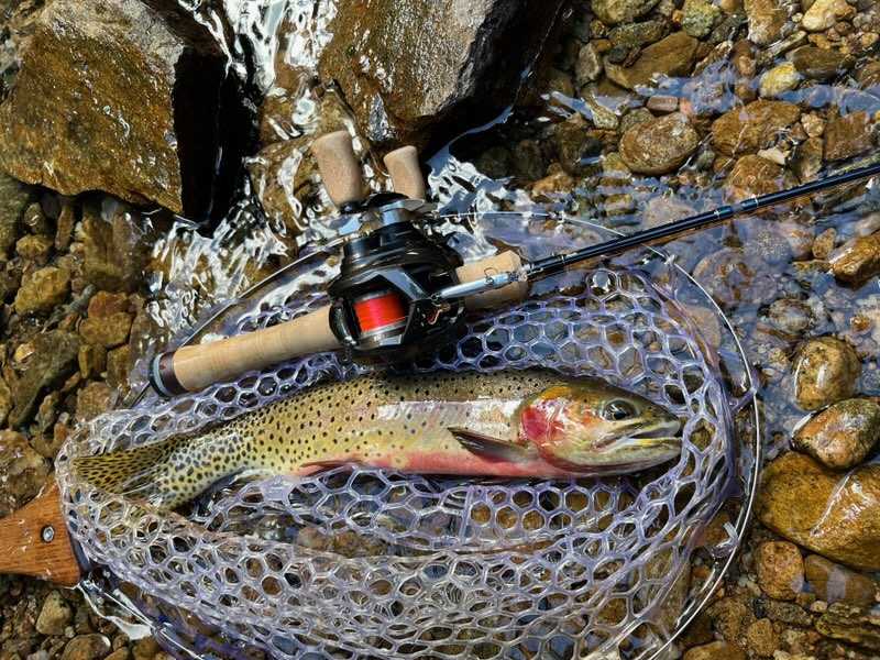 AK's cutthroat
