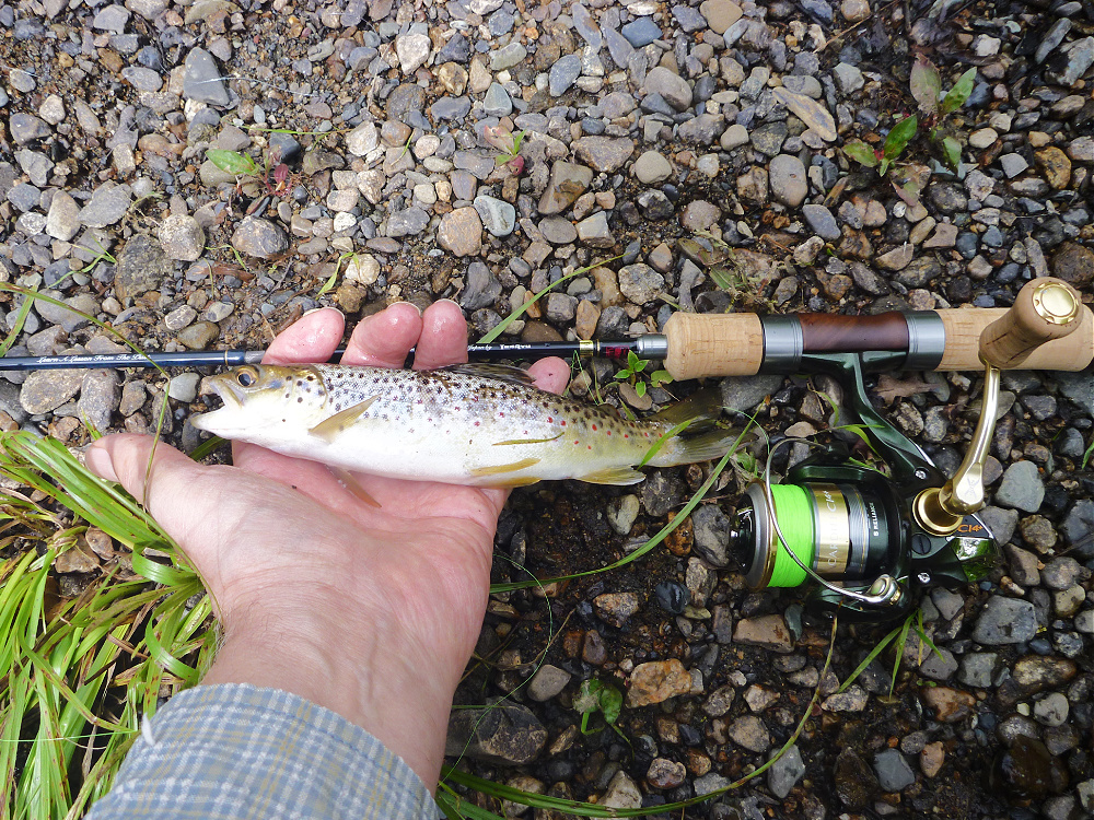 Tenryu-RZI484S-UL pebble beach