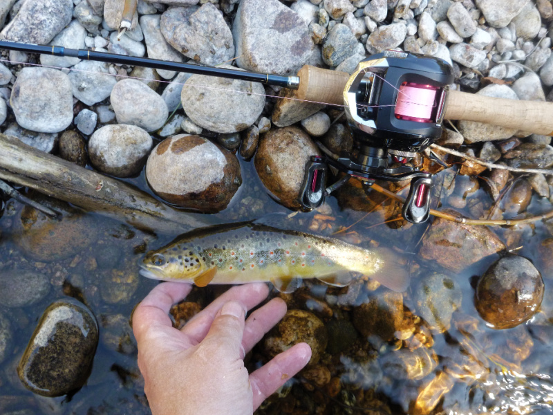 Tenryu Rayz Integral spinning rod with BFS reel