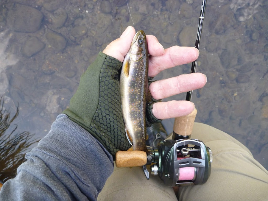 Daiwa Air Stream Custom, Tenryu rod, brook trout