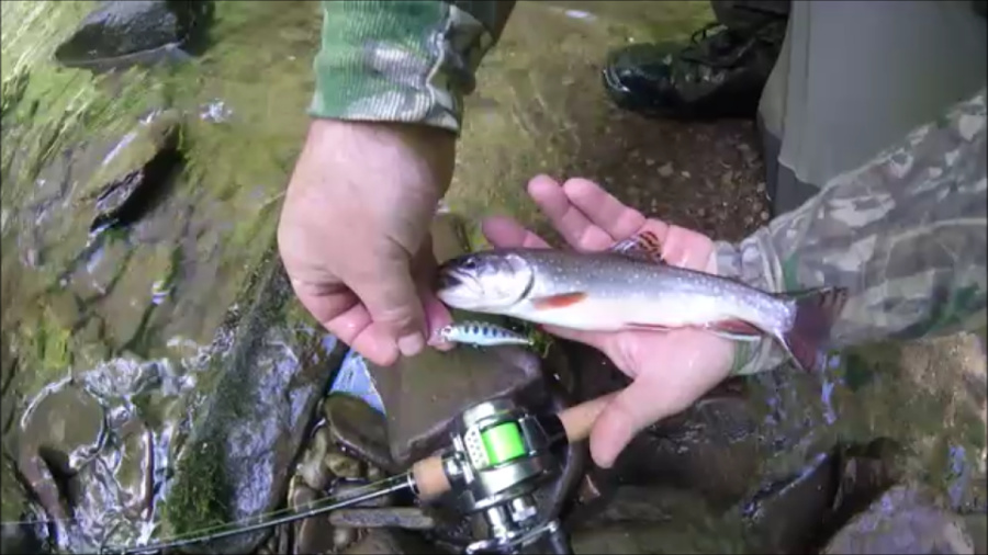 Angler holding a brookie, along with the lure that caught it and his baitcaster.