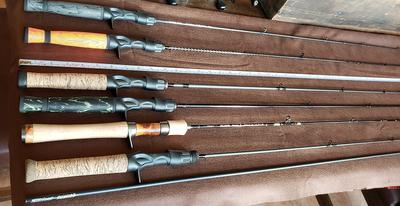 Custom rods (plus a Tenryu)