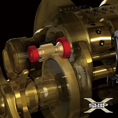 Shimano Calcutta Conquest BFS Shimano Calcutta Conquest BFS