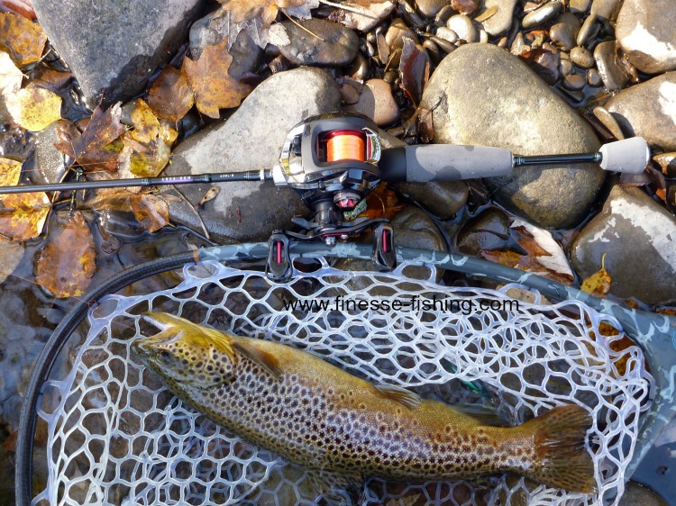 baitcaster for trout