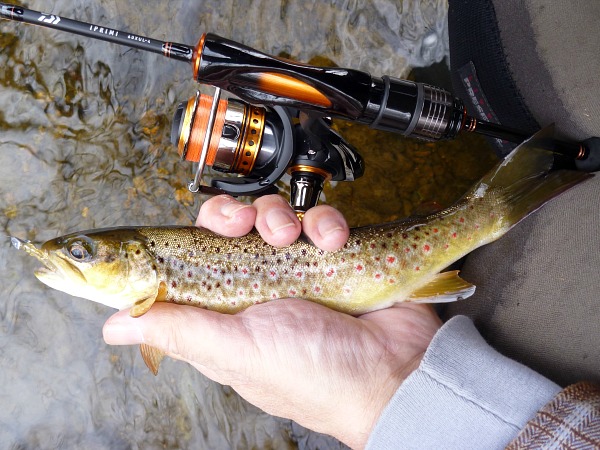 trout pole