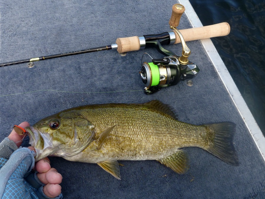 Smallmouth bass and spinning rod on boat deck.