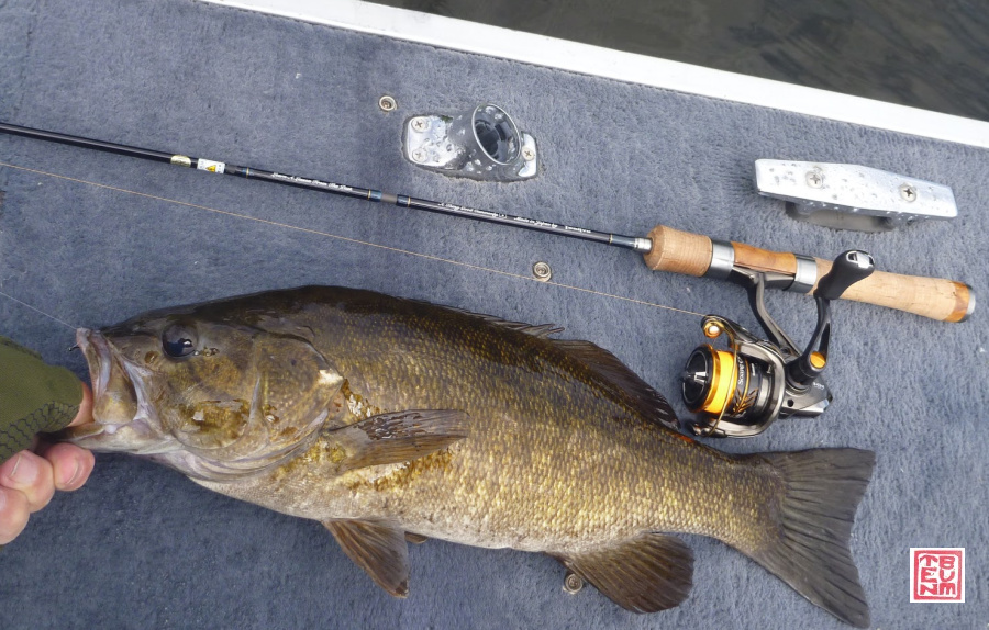 Large smallmouth bass caught with ester line.
