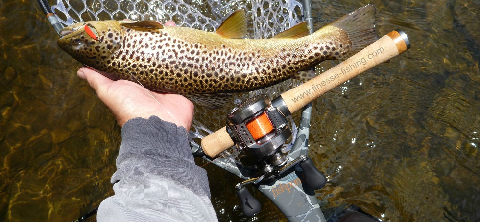 Angler holding nice brown trout caught with Daiwa Crusader Spoon