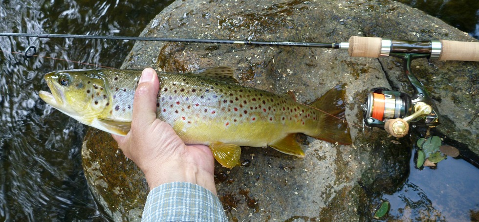 Shimano Trout One