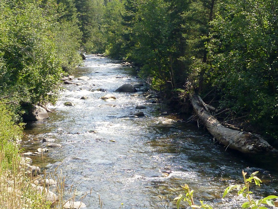A small stream, viewed from a bridge