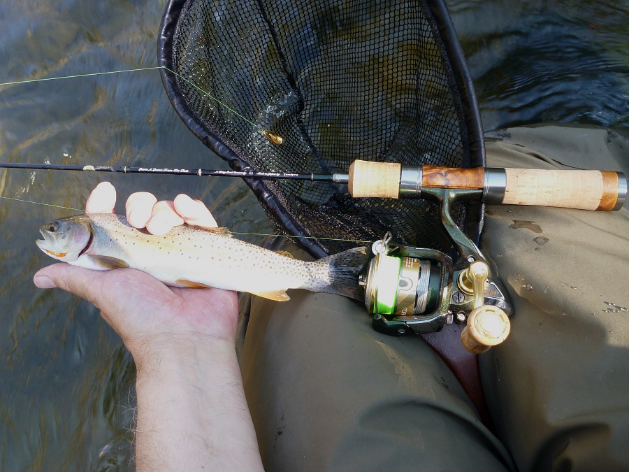 Angler holding trout, net and spinning rod