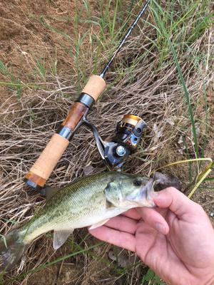 Small largemouth puts a bend in the rod.