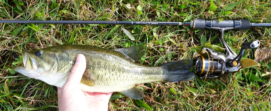Lunakia with modest bass.