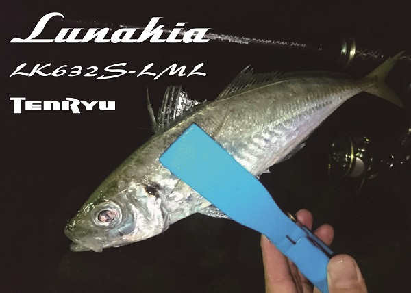 Aji (Japanese Horse Mackerel)