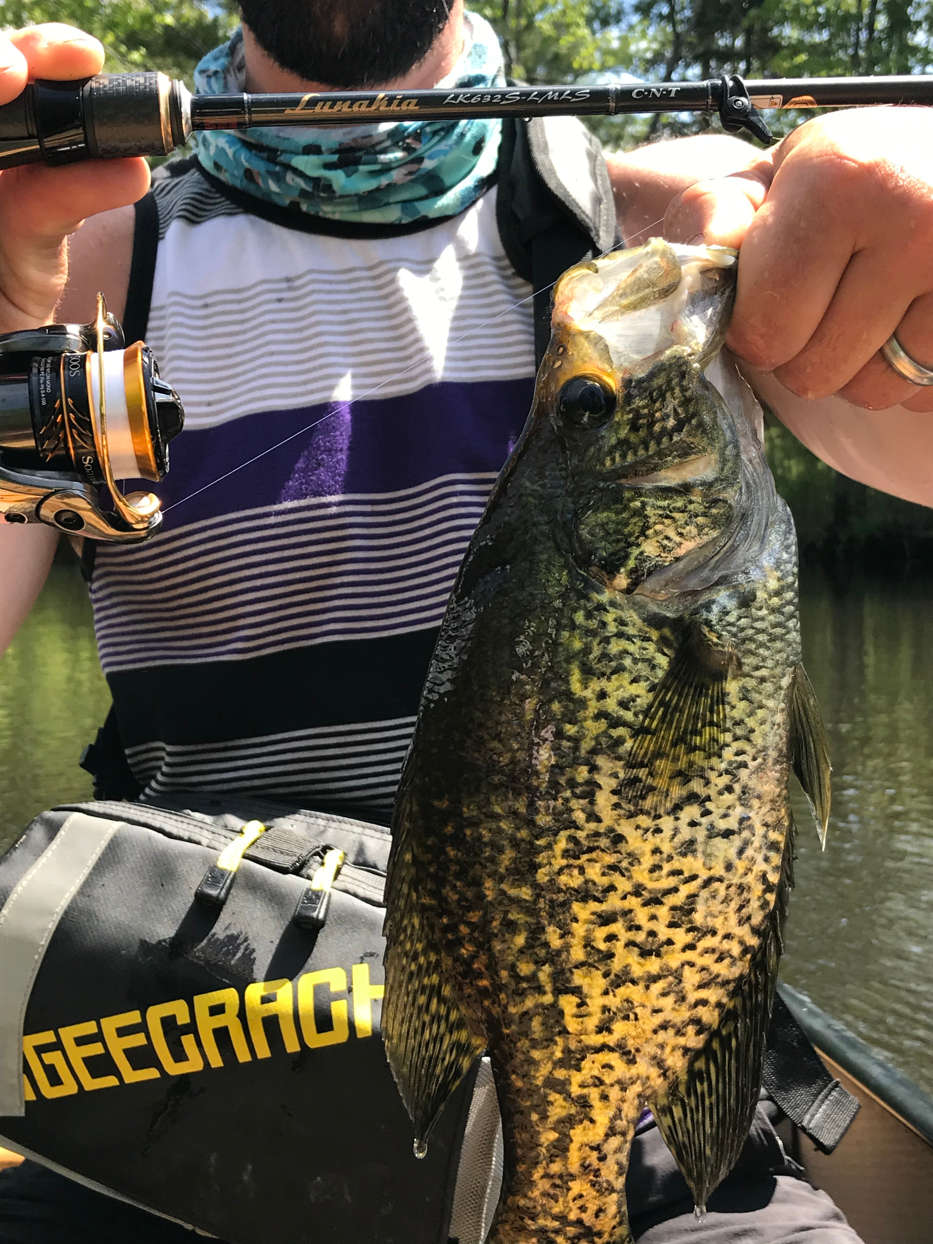 Nice crappie caught with Lunakia.