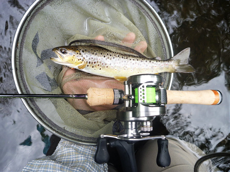 Angler holding 8" trout in the net, with the rod balanced on the net hoop.