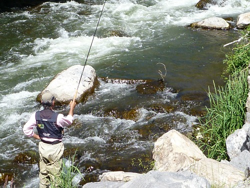 Masami Sakakibara keeping his rod tip high.