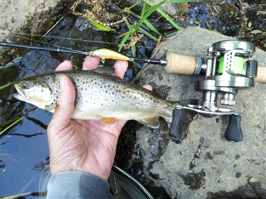 Angler holding brown trout alongside Tenryu fishing rod