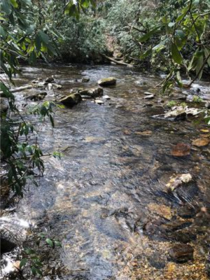 Water Crossings