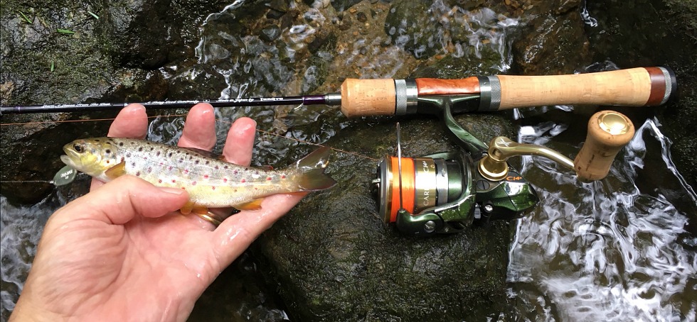 Angler holding small brown trout, with Spectra in background