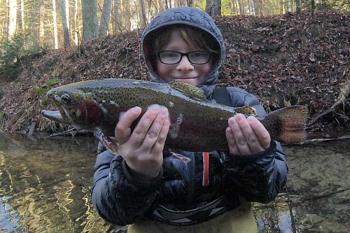 Suntech Tenkara Rods