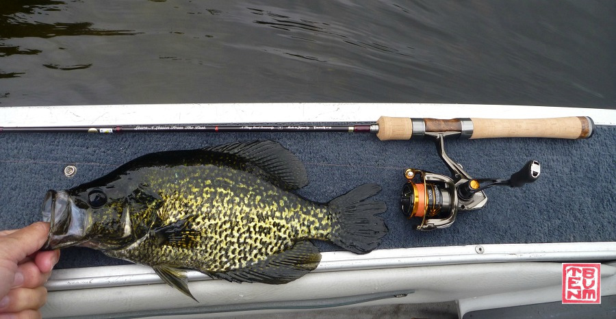 Tenryu Rayz Alter RZA61L-T and black crappie on boat deck