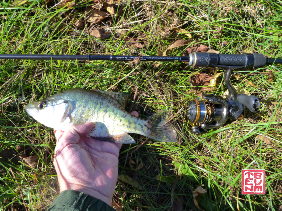 Tenryu Lunakia LK6102S and White Crappie