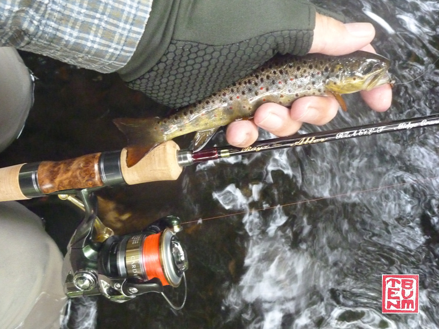 Tenryu Rayz Alter with small trout caught in small stream.