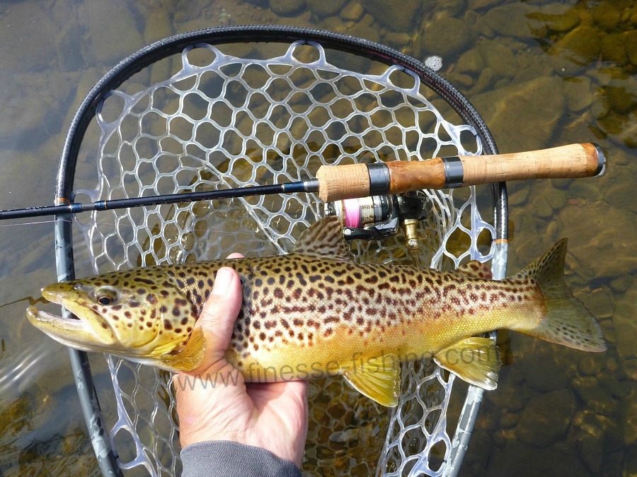 Tenryu Rayz Integral RZIUL-4 with brown trout