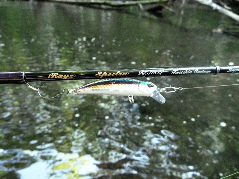 Spectra built in hook keeper