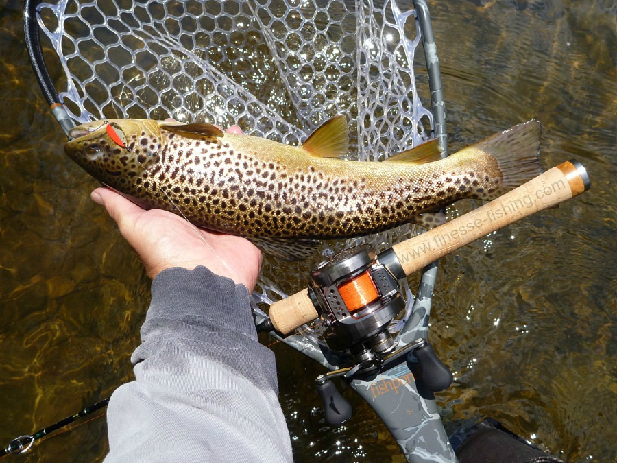 Tenryu baitcaster and large brown trout