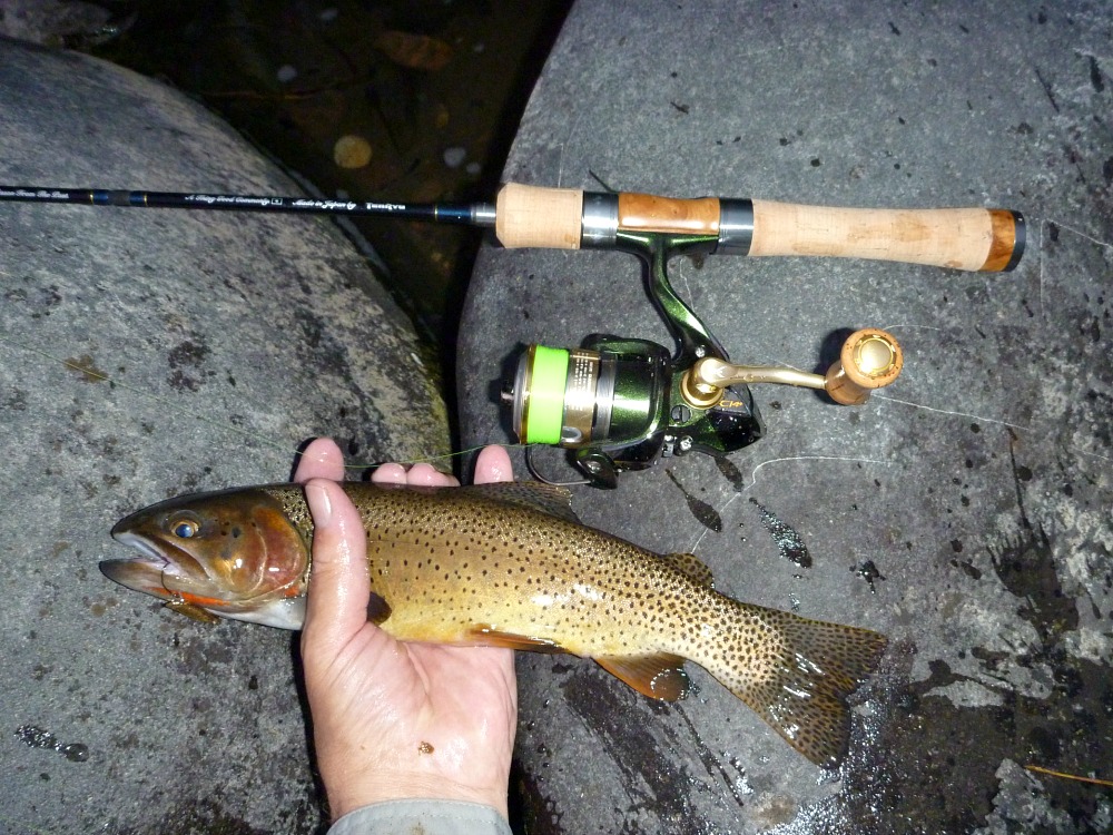 Angler holding Cutthroat trout alongside spinning rod