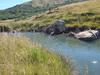 On a brownie dominated river, this was the most likely spot to catch a rainbow. 