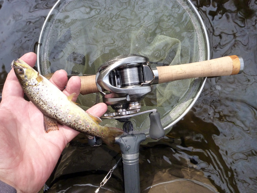 Angler holding small brown trout above a baitcaster and the net.