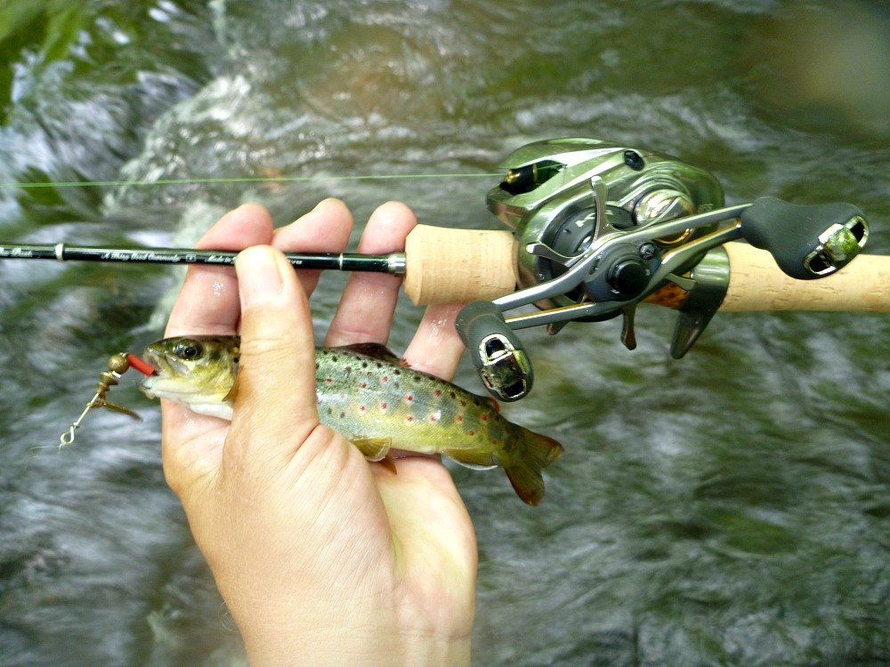 Angler holding very small trout caught with BFS gear.