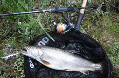 Palms Thumb Shad and big brookie.