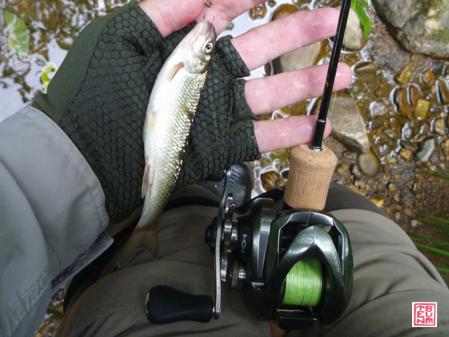 baitcaster-fallfish-2.jpg.jpg baitcaster-fallfish-2.jpg.jpg