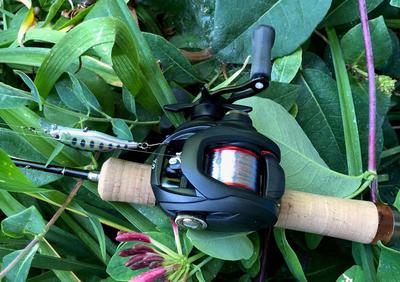 BFS reel on spinning rod