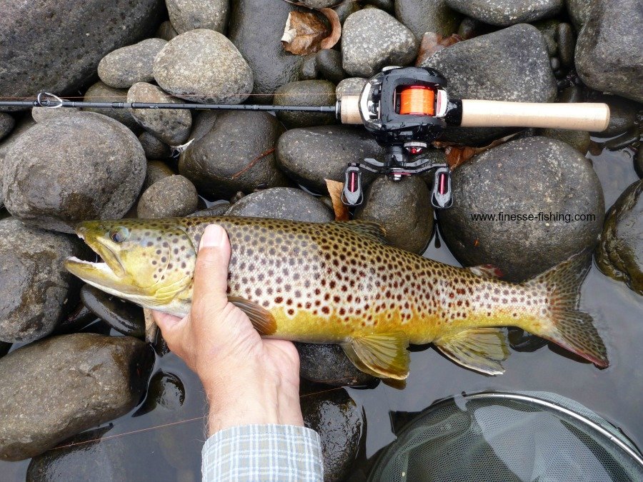 Angler holding a large brown trout on a rocky shore.