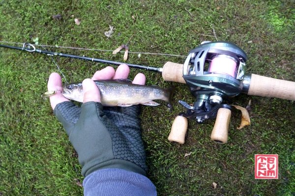 Daiwa Alphas Air Stream Custom Left, a Tenryu rod and a brook trout on a moss covered rock.