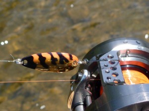 Daiwa Crusader Red Gold Tiger spoon with Shimano Calcutta Conquest BFS reel