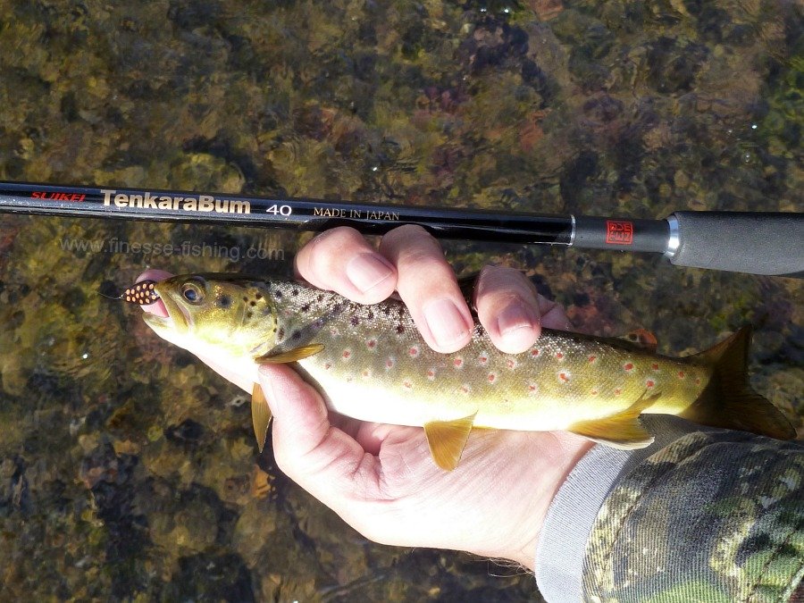Angler holding brown trout and TenkaraBum 40 rod.