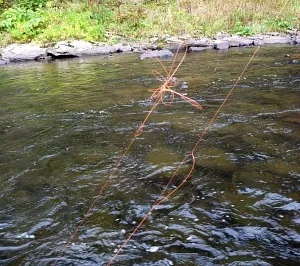 line-twist.jpg