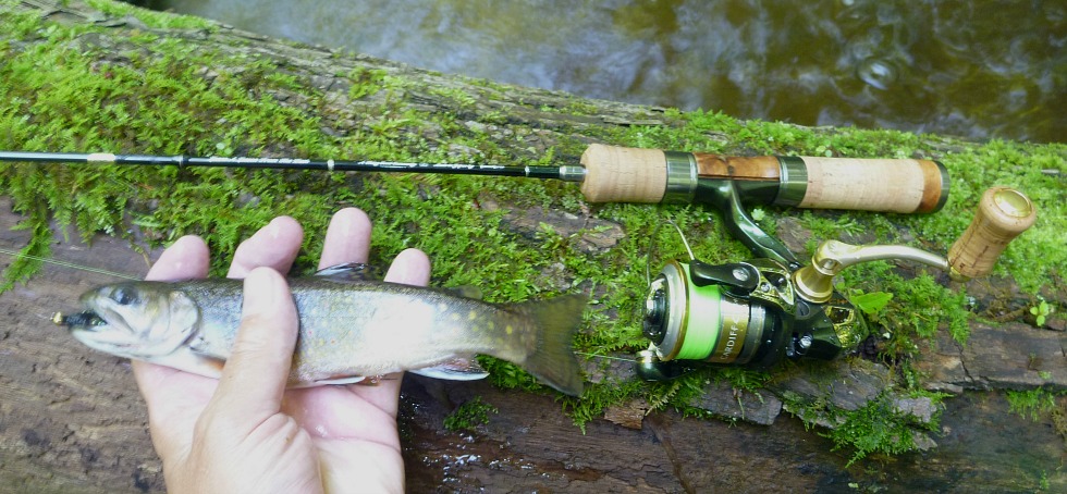 Tenryu Rayz RZ39LL, brookie and bead head bugger.