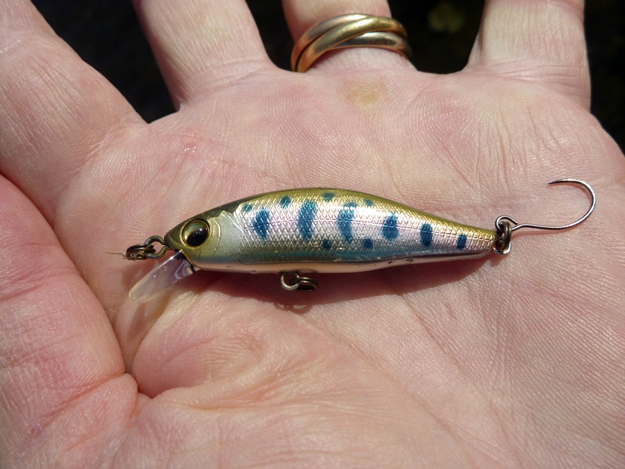 Angler holding Silver Creek Minnow with front hook removed and single hook in rear.