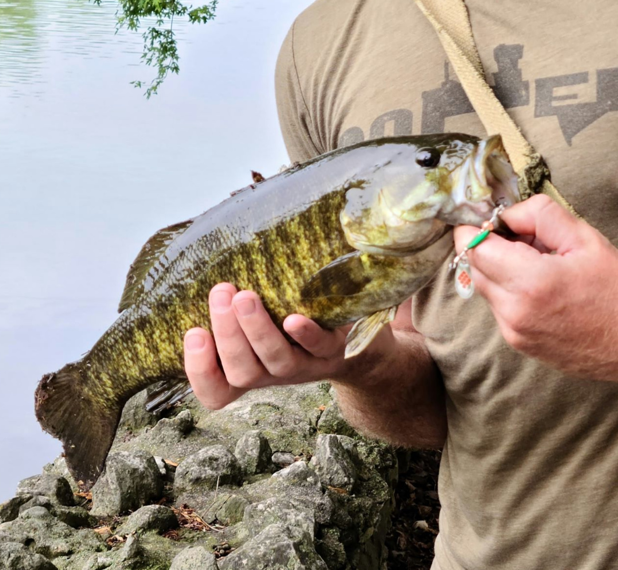 Smallmouth bass caught with Palms Spinwalk spinner