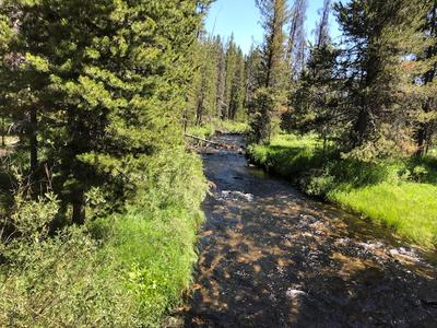 First time fishing spinners in a stream