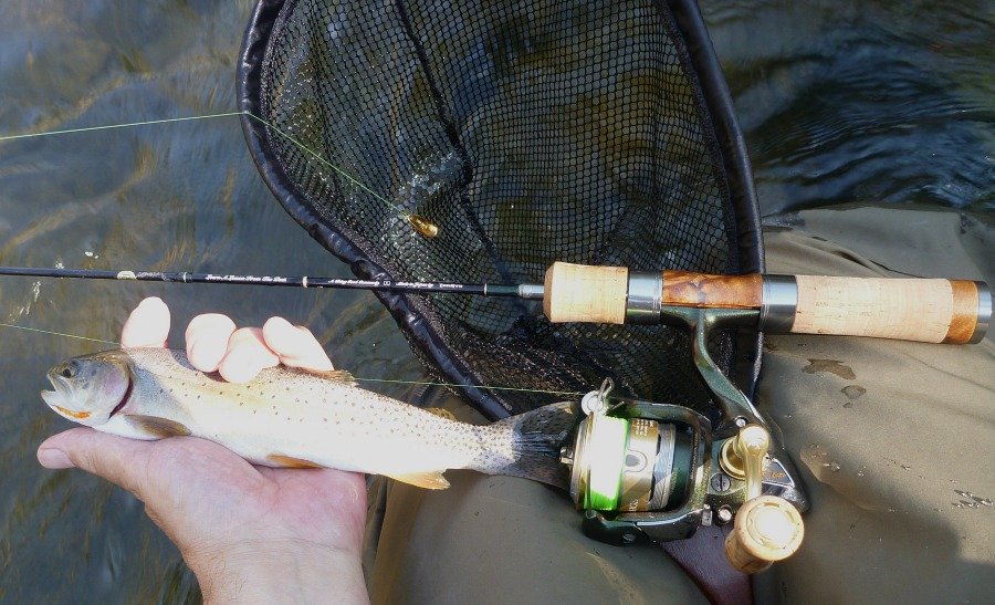 Angler holding trout caught with spoon that had hi-vis line tied to it directly.